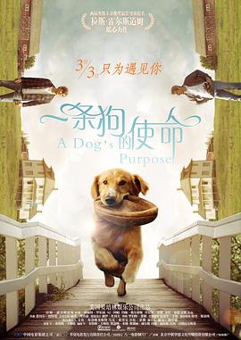 德赫CP喂饭!